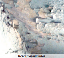 Pintura descascarada por humedad