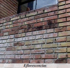 Eflorescencias blancas por humedad en paredes